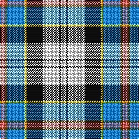 Tartan detail