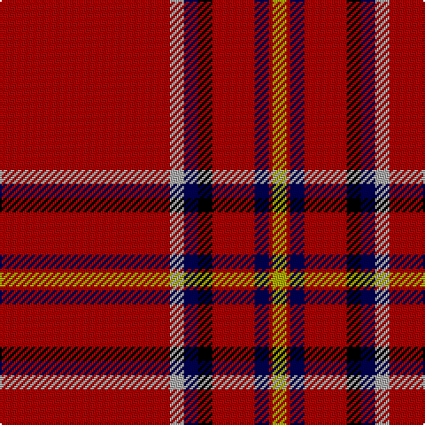 DR/96 N8 DB8 K8 DR24 DB8 DR2 LG/8 tartan Tartan detail