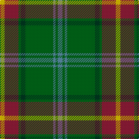 Y/8 DR24 G4 DG8 G48 B4 G4 B/8 tartan Tartan detail