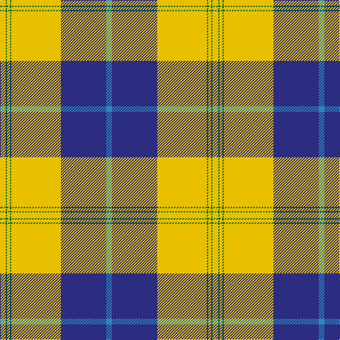 Y/8 G2 Ya4 G2 Ya64 Ya6 DB64 B/8 tartan Tartan detail
