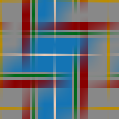 DY/10 N78 DR32 N10 G12 N10 B64 LR/10 tartan Tartan detail