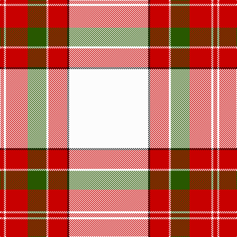 R/8 W4 R44 G38 W4 R38 K4 W/160 tartan Tartan detail