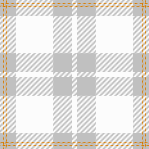N/10 O4 N4 O4 N30 W120 N60 W/16 tartan Tartan detail