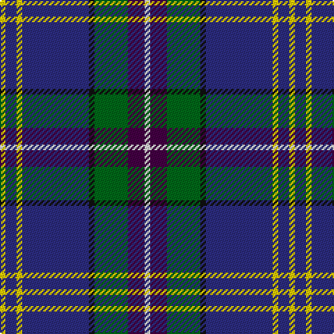 Tartan detail