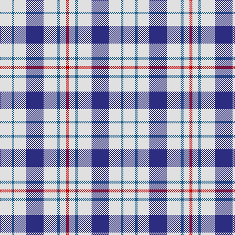 LN/24 B5 LN24 DB36 LN28 B6 LN12 R/6 tartan Tartan detail