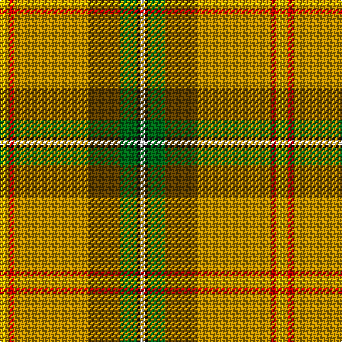 Tartan detail