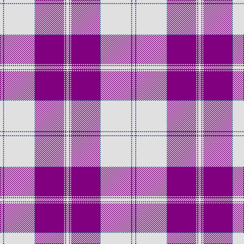 LN/6 B2 LN60 B2 P56 LN2 P2 LN/6 tartan Tartan detail