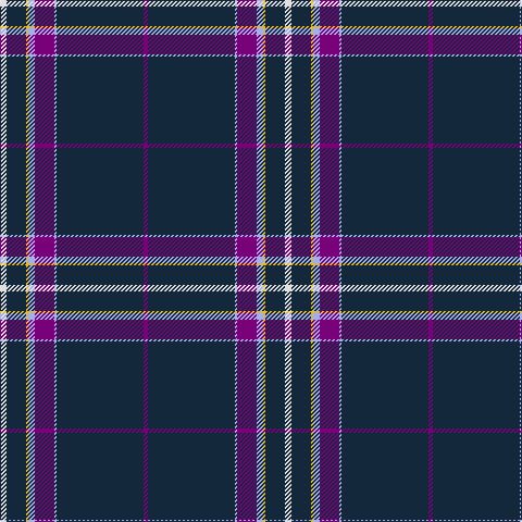 LN/6 DN18 Y2 LP6 P18 LP2 DN80 P/4 tartan Tartan detail