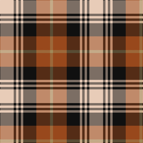 LR/46 K8 LR8 K8 LR8 K44 T46 LT/10 tartan Tartan detail