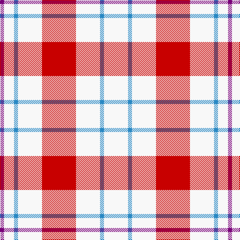 P/8 W20 B8 W48 R68 W48 B8 W/48 tartan Tartan detail