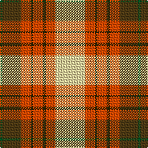 G/4 T30 R16 K4 R16 K4 R16 LY/48 tartan Tartan detail