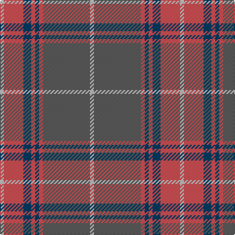 Na/4 DO20 DB8 DO4 DB4 DO4 N48 Na/4 tartan Tartan detail