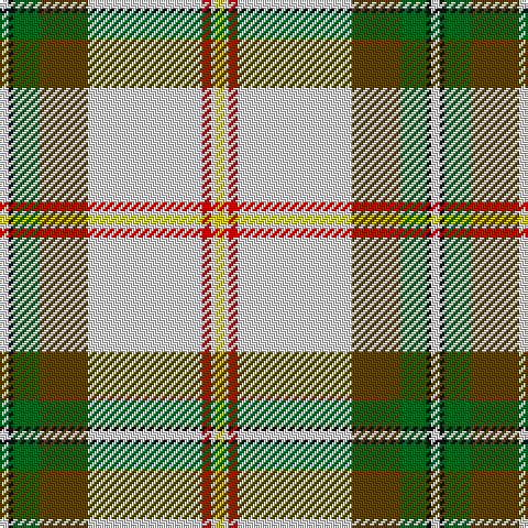 LN/4 K2 G12 T22 LN52 R4 LN2 Y/4 tartan Tartan detail
