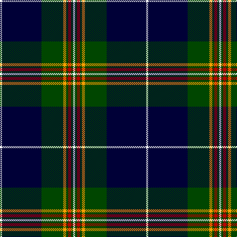 W/4 DB80 G44 Y6 G4 R6 G4 W/4 tartan Tartan detail