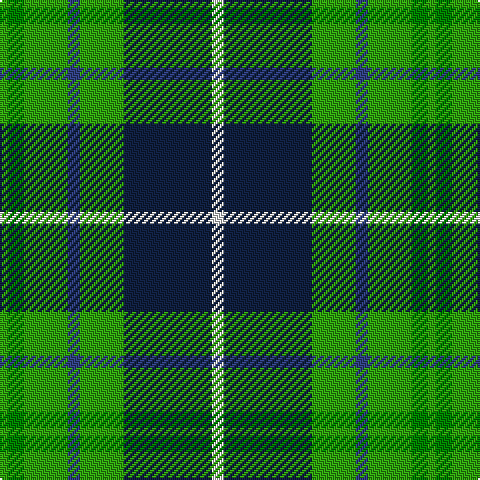 G/4 Ga8 G22 B6 G22 DB24 DB20 LN/6 tartan Tartan detail