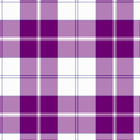 W/6 DB2 W60 DB2 P56 W2 P2 W/6 tartan Tartan detail