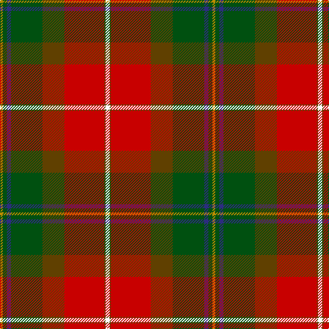 DY/4 G6 DB6 G46 T32 R58 T2 W/6 tartan Tartan detail