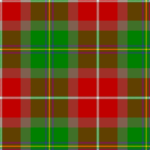 LN/6 LT2 R58 LT32 G46 B6 G6 Y/4 tartan Tartan detail