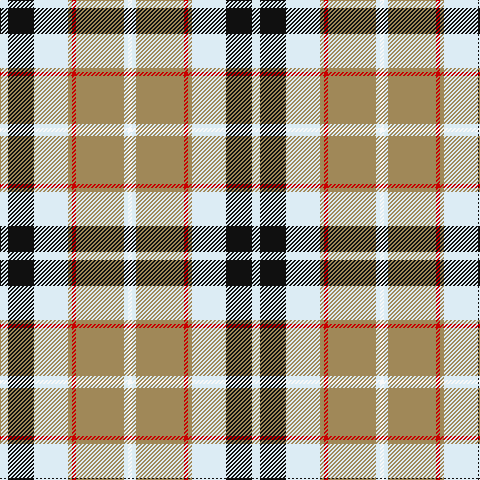 Tartan detail