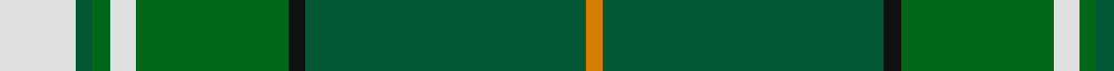 New World Irish (Fashion) example sett