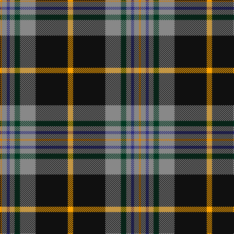 O/4 N10 DB6 N10 DG11 N32 K66 Y/11 tartan Tartan detail
