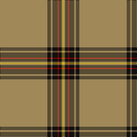 Tartan detail