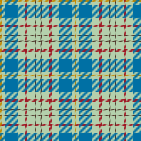 DY/6 N10 B44 N24 DR8 N26 T4 N/16 tartan Tartan detail