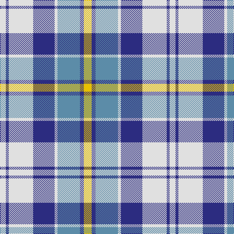 LN/12 DB6 LN50 DB44 LN6 B46 DB8 Y/16 tartan Tartan detail