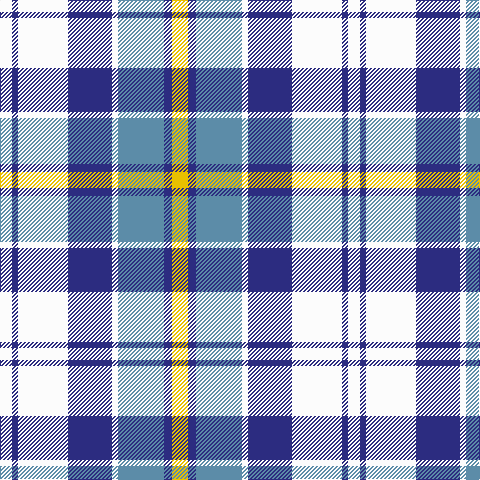 Tartan detail