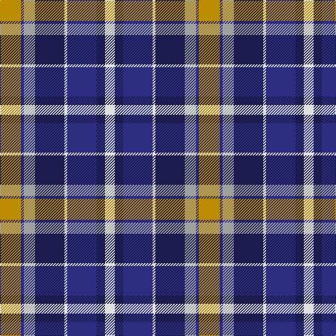 Tartan detail