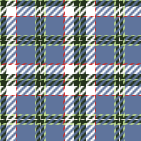 Tartan detail