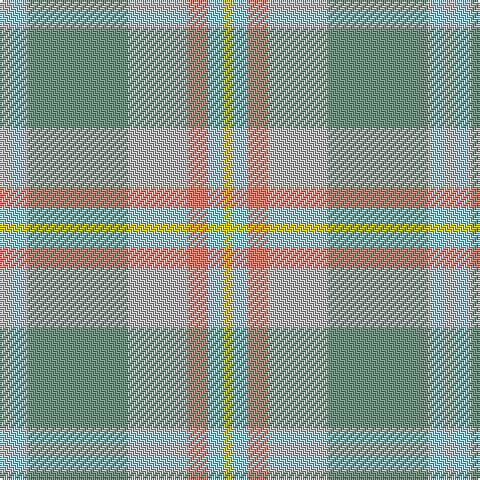 N/6 LB6 N2 LG50 N30 LR10 LB8 Y/4 tartan Tartan detail