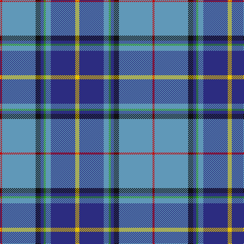 Tartan detail