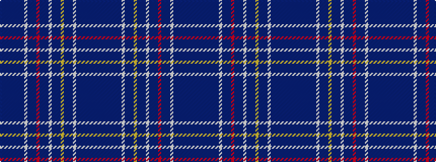 idealised woven sample of pattern BBBBBBBBWBBBRBBBWBBBYBBBWBBBBBBBB
