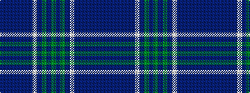 idealised woven sample of pattern BBBBBBBWBGBG