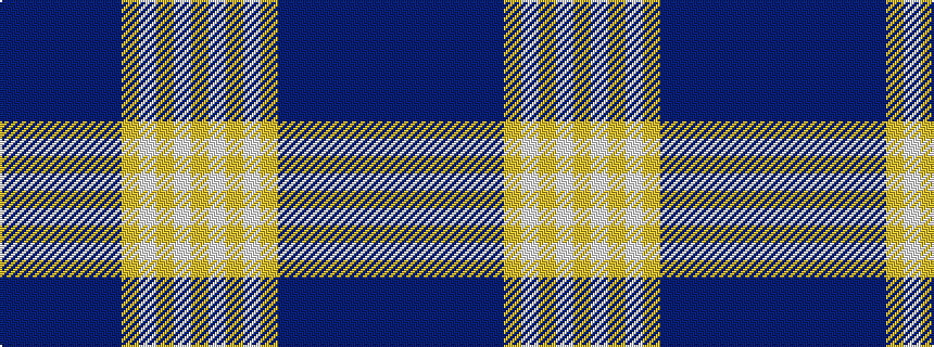 idealised woven sample of pattern BBBBBBBYWYWY