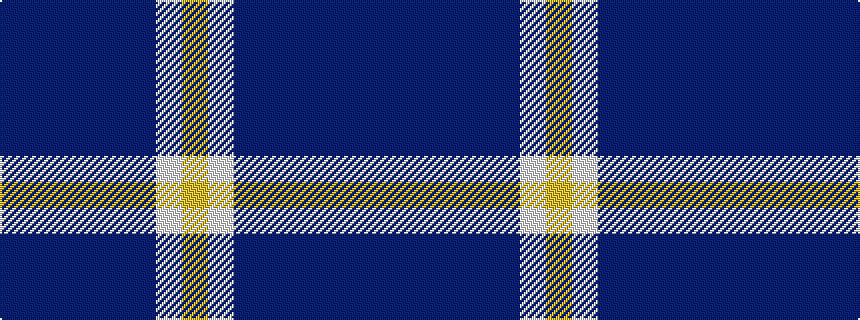 idealised woven sample of pattern BBBBBBWY