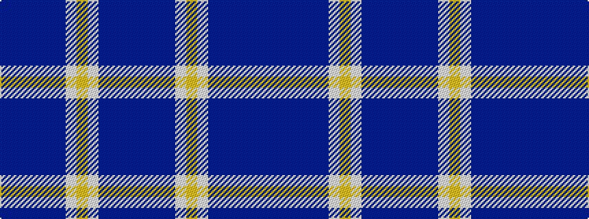 idealised woven sample of pattern BBBBBBWYWBBBB