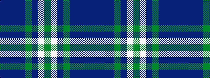 idealised woven sample of pattern BBBBGBWG