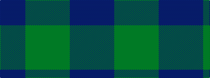 idealised woven sample of pattern BBBBGGGG