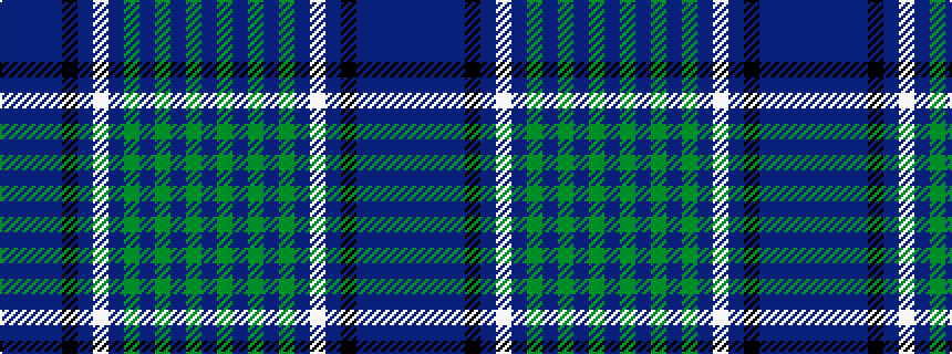 idealised woven sample of pattern BBBBKBWBGBGBGB