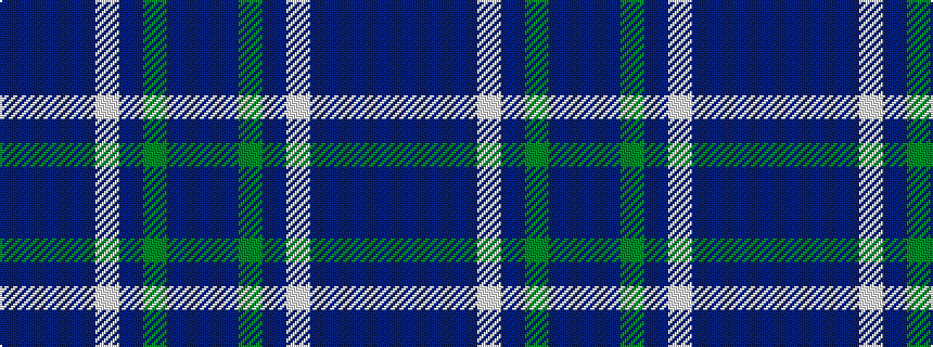 idealised woven sample of pattern BBBBWBGBB