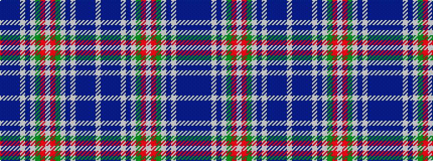 idealised woven sample of pattern BBBBWBWGRWRGWBWBBBBW