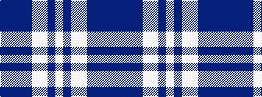 idealised woven sample of pattern BBBBWWBW