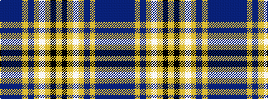 idealised woven sample of pattern BBBBYBYWYKY