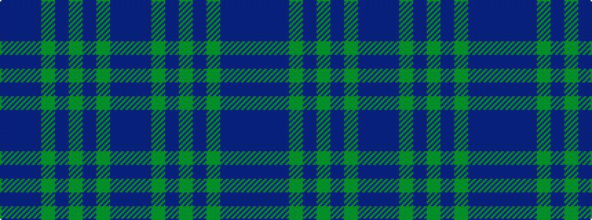 idealised woven sample of pattern BBBGBGBGBB