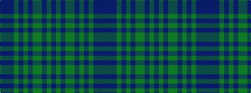 idealised woven sample of pattern BBBGBGBGGBGB