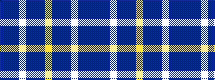 idealised woven sample of pattern BBBWBBBY