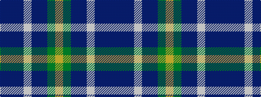 idealised woven sample of pattern BBBWBBGY
