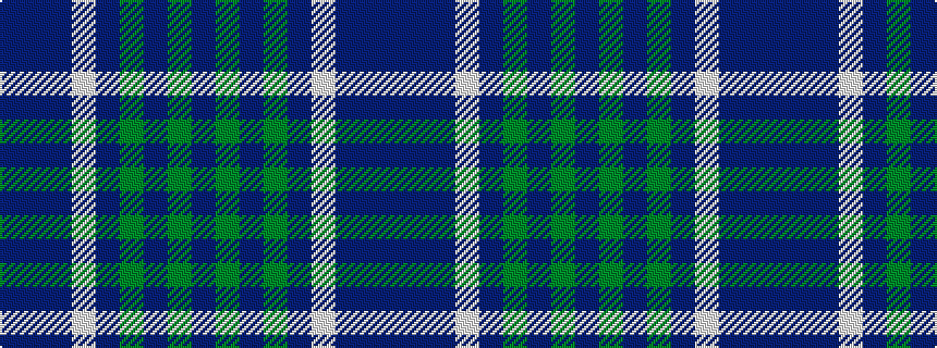 idealised woven sample of pattern BBBWBGBGB
